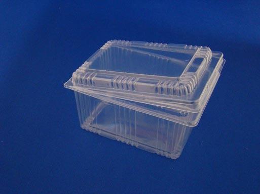 T2542 Salad Container Deep