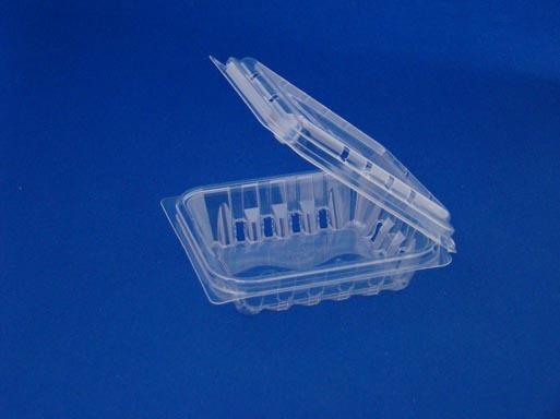 T3113 125gm Clamshell