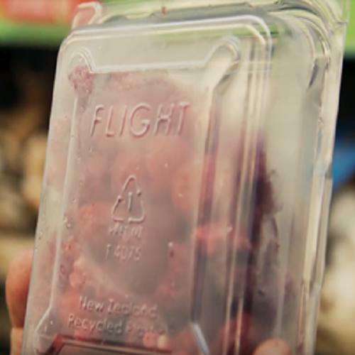 StrawberryPunnet StrawberryPunnet